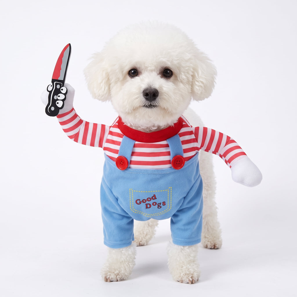 Small white dog wearing the Good Dogs killer doll costume, front view